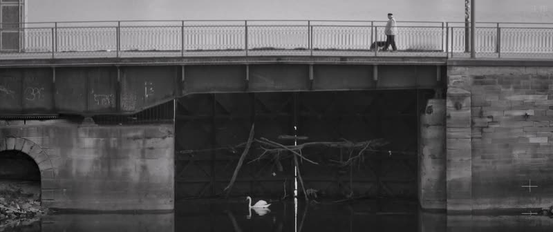 ASAEH – Tim Wollmann – still 3